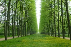 球员比赛服饰环保材质采用，绿色比赛理念落地，打比赛球衣怎么穿