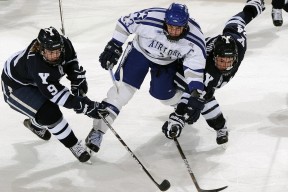 仰泳技术扎实波兰持续领先，仰泳示范视频