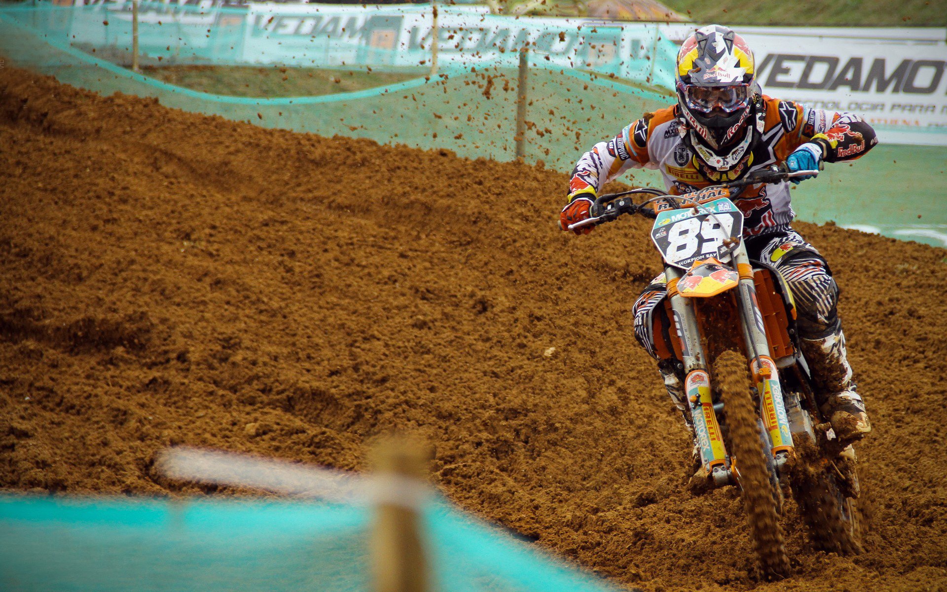 仰泳赛场韩国选手步伐稳健,仰泳比赛视频