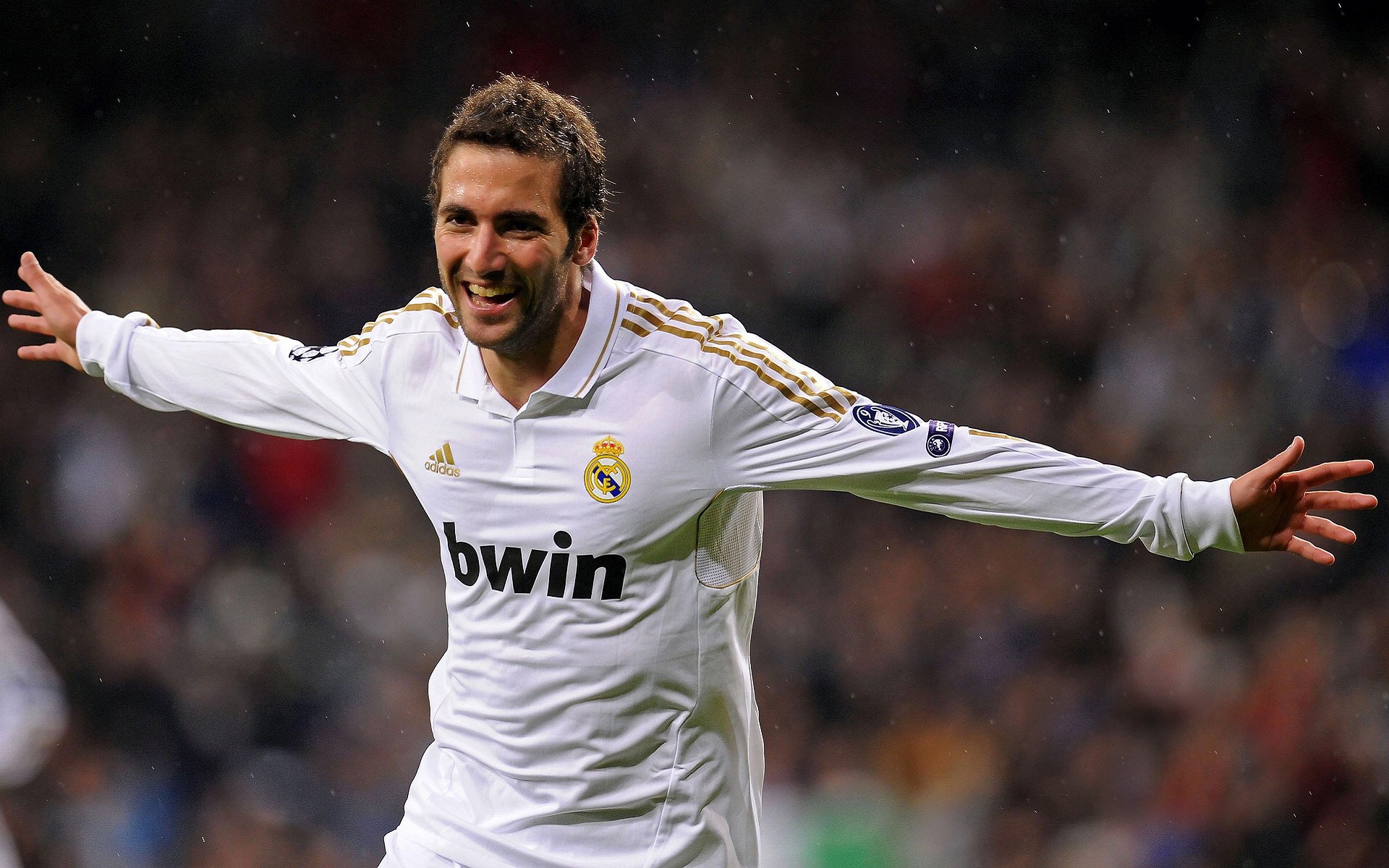 荷兰仰泳节奏转换掌握成熟，仰泳backstroke