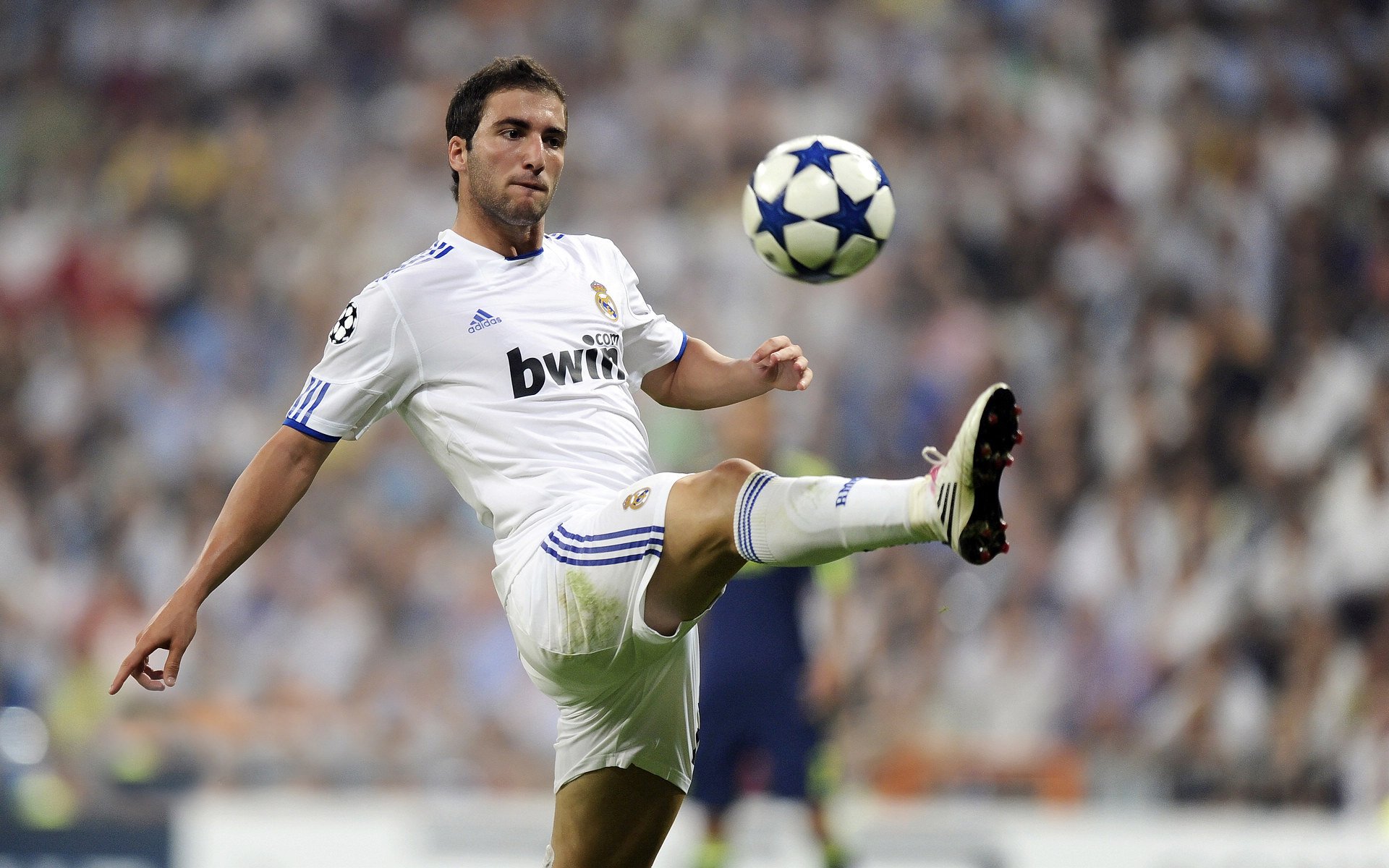 未来之星崭露头角！新鲜血液冲刺巅峰！